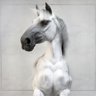 Andalusian Stallion. Испанский конь. — Вид 2
