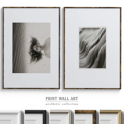 Framed Print P-546 — download