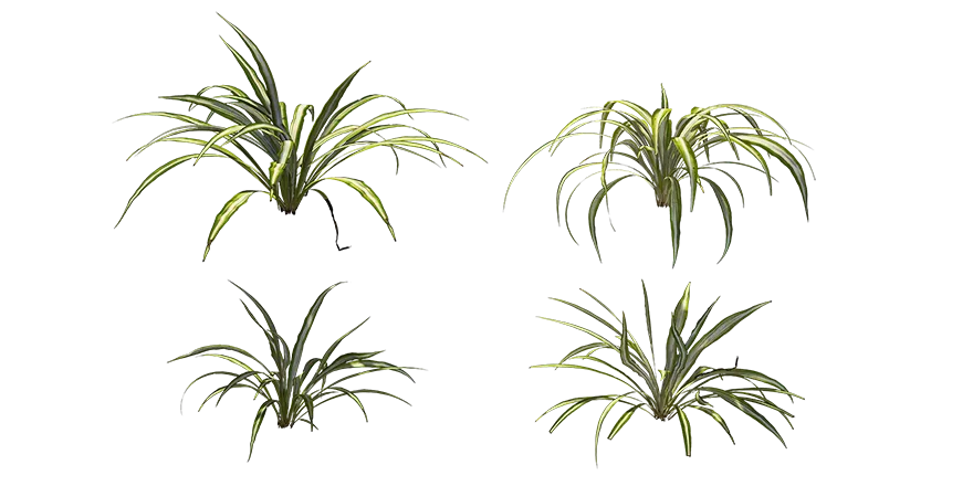 airplane plant 001 — Download