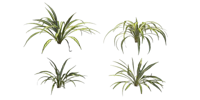 airplane plant 001 — download