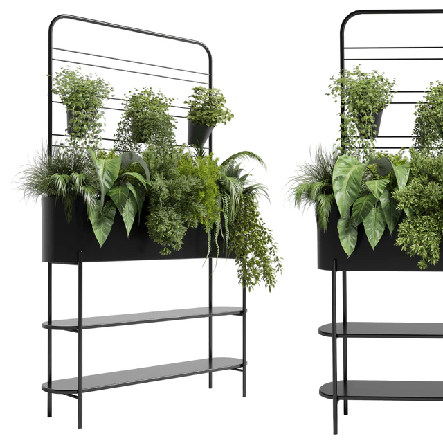 Collection Indoor plant 69 Auckland Black Metal Flower Box plant ivy fern pots — Скачать