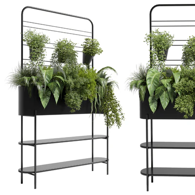 Collection Indoor plant 69 Auckland Black Metal Flower Box plant ivy fern pots — Вид 4