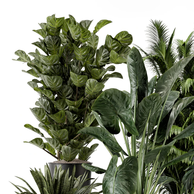 Indoor Plants in Ferm Living Bau Pot Large - Set 1188 — Descargar