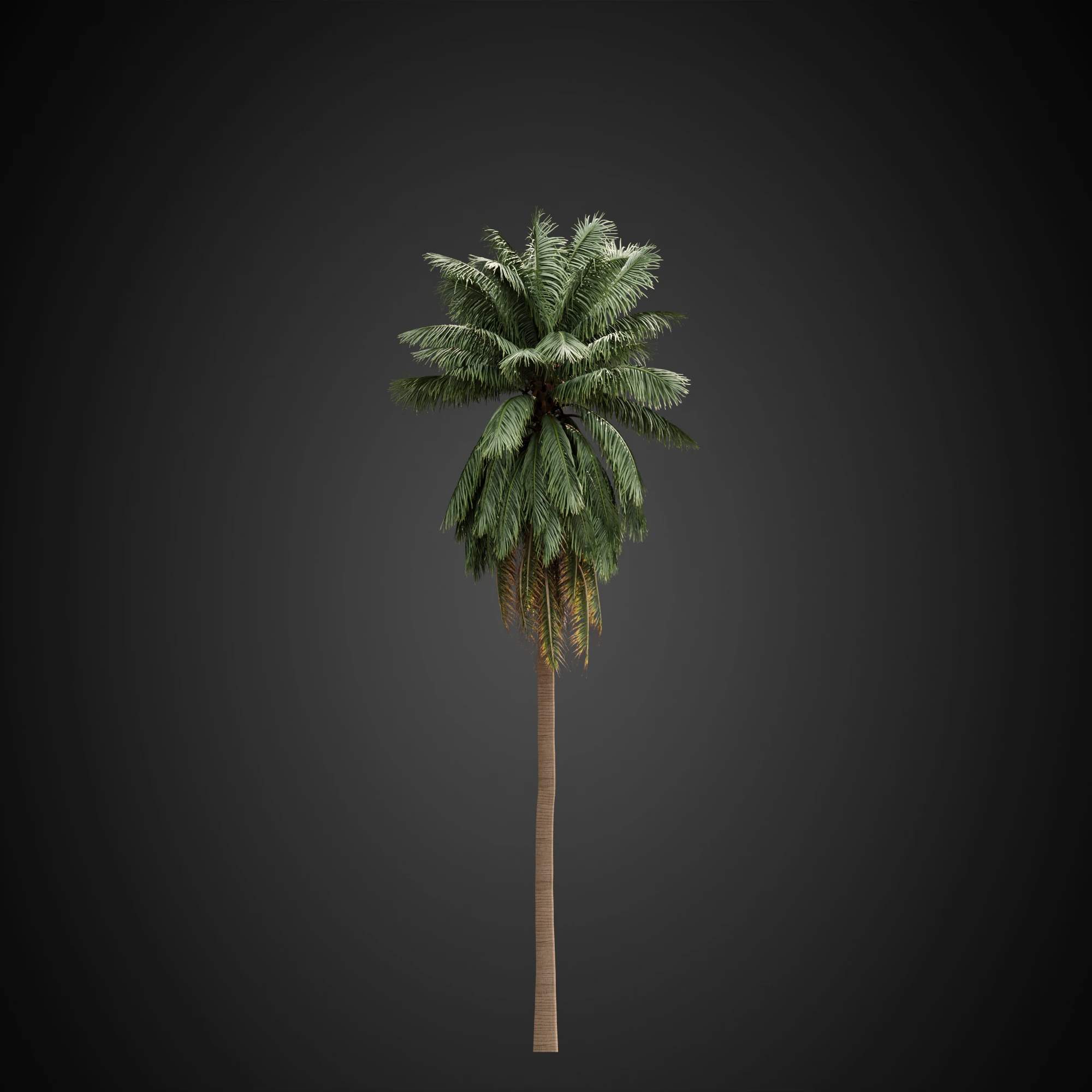 003 — Descargar