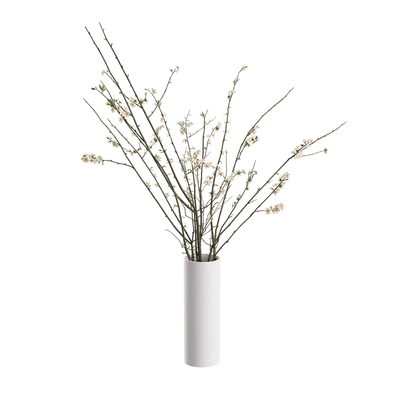 plant twiggy — Скачать