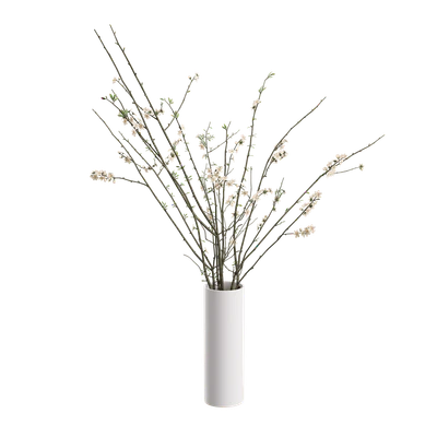 plant twiggy — Скачать