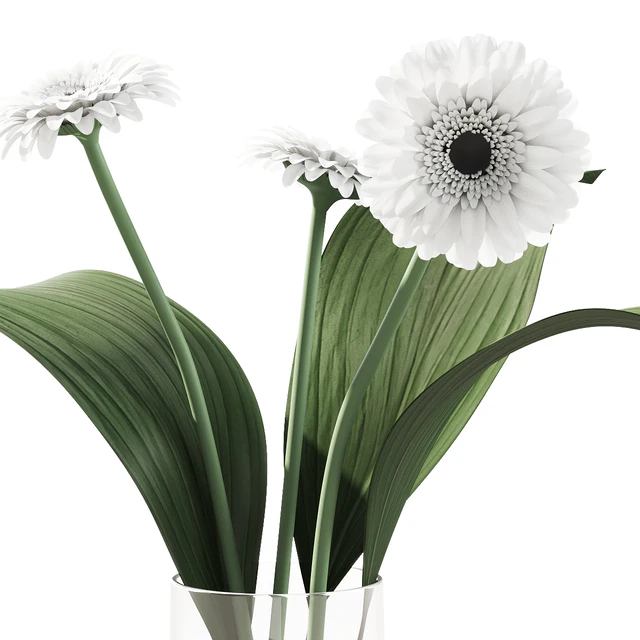 021 Flowers and leaves in vase indoor decor plant — Скачать