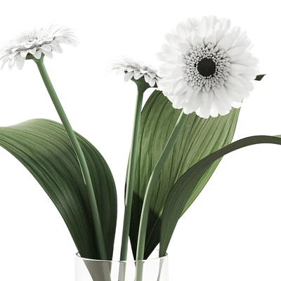 021 Flowers and leaves in vase indoor decor plant — Вид 2