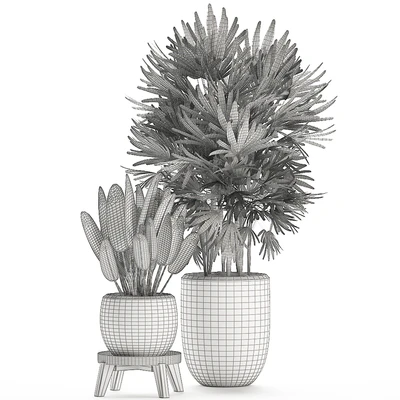Beautiful small lush ornamental palm bushes in a white modern pot with strelitzia, Rhapis. Set 502. — Ver 2
