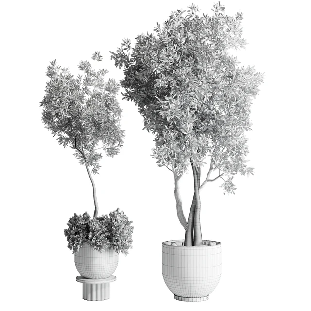 Collection Outdoor Indoor plant 52 concrete dirt vase pot tree — Скачать
