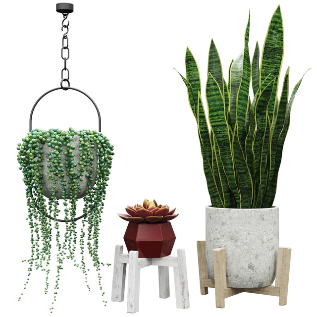 Plant set 2 — Скачать