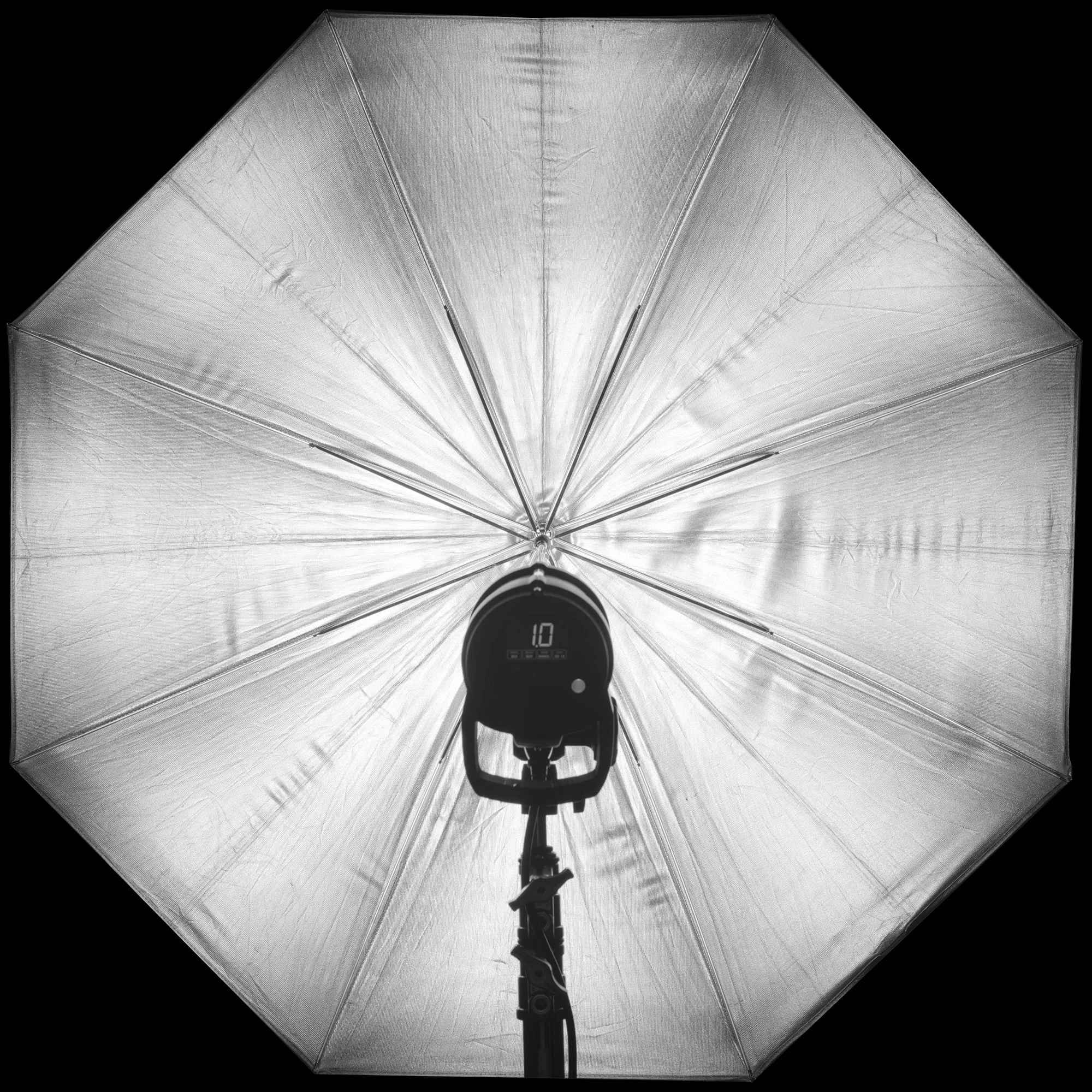 rls025 profoto umbrella lastolite silver — Скачать