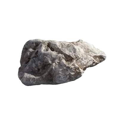 coral stone 006 — Скачать