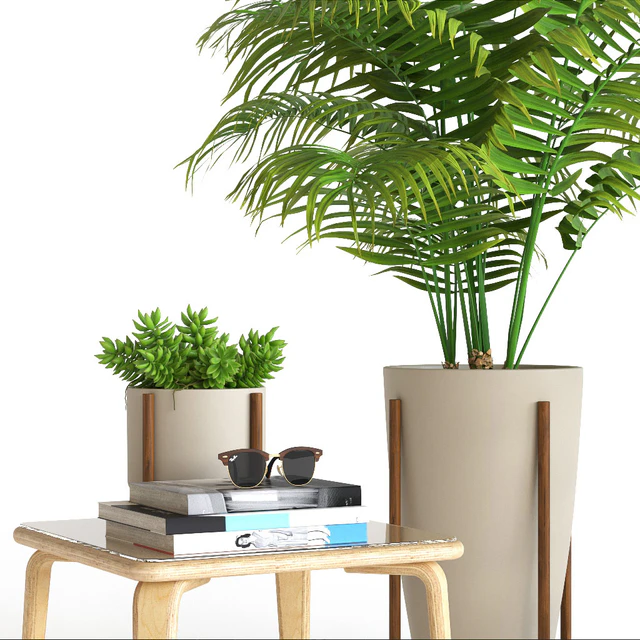 Plant set — Скачать