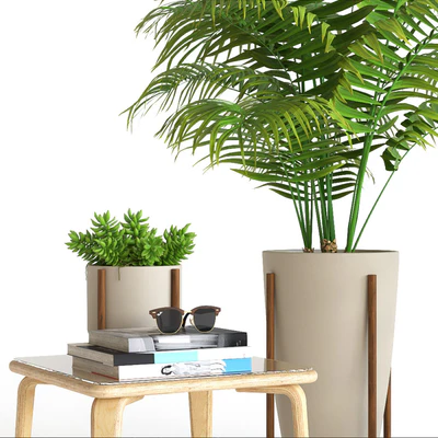 Plant set — Вид 3