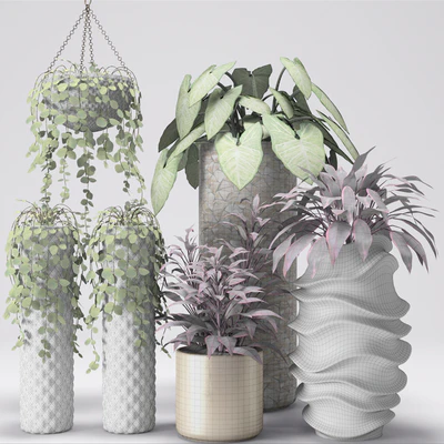 Plants in pots, white pot, flowerpot, flower — Ver 2