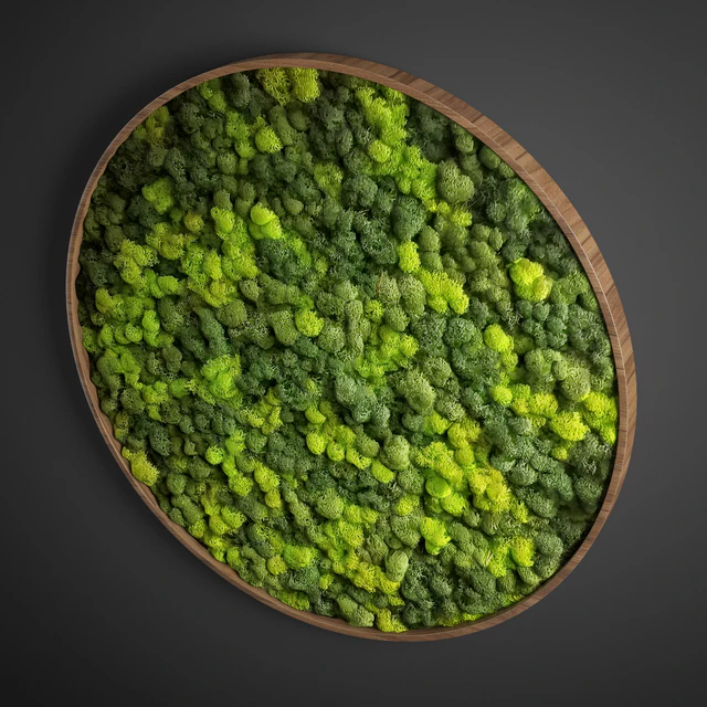 panel moss circle — Descargar