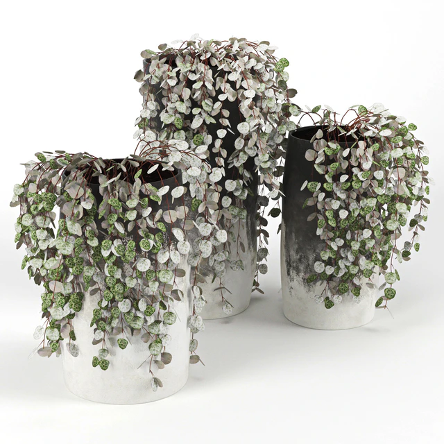 Black &amp; White Ombre Cylinder Vase — Descargar