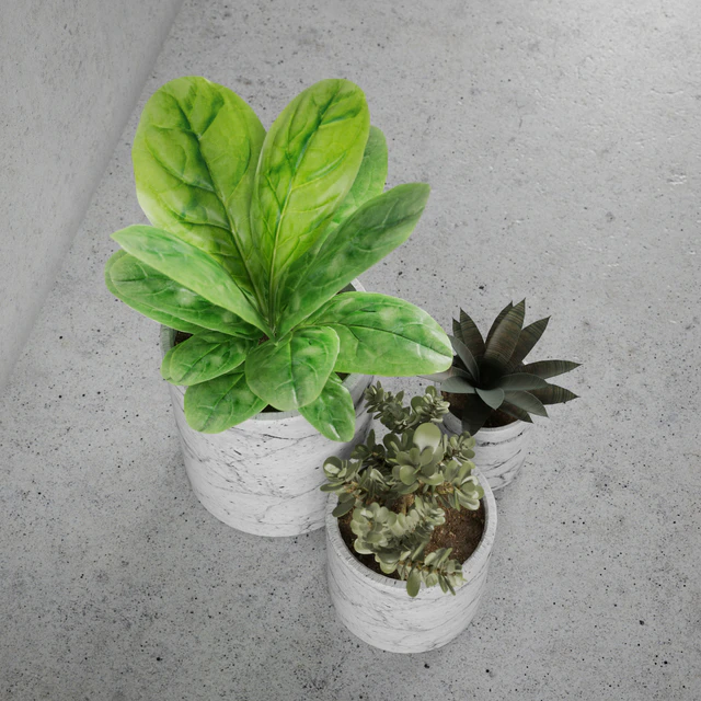 Decorative set / plants — Скачать