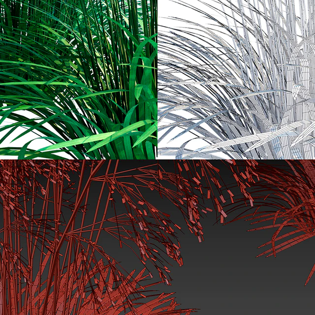 Lugovik turfy (Pike) | Deschampsia cespitosa — Descargar