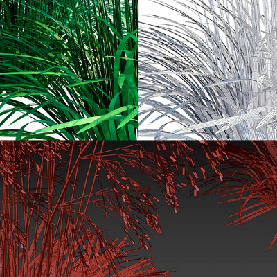 Lugovik turfy (Pike) | Deschampsia cespitosa — Ver 2