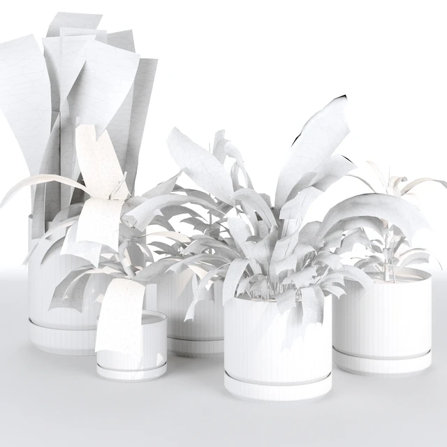 Indoor Plants Collection - Set 03 — Download