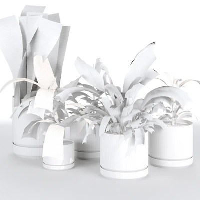 Indoor Plants Collection - Set 03 — View 5