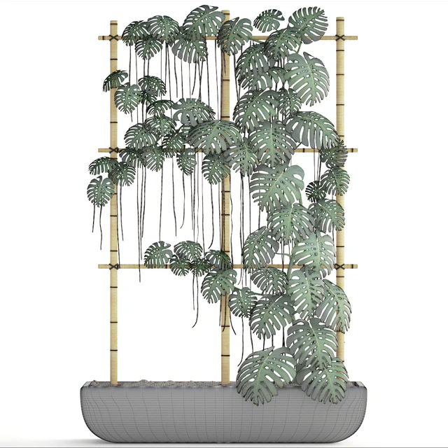 Monstera 7, вертикальный сад, фитостена, эко дизайн, монстера, декоративный куст, горшок, вазон — Скачать