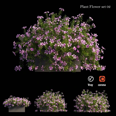 Plant Flower set 02 — Вид 1