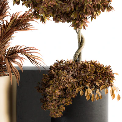 indoor Plant Set 91 - Black and Gold(Red Plant) — Вид 3