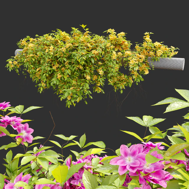 Hanging Plant 23 — Скачать