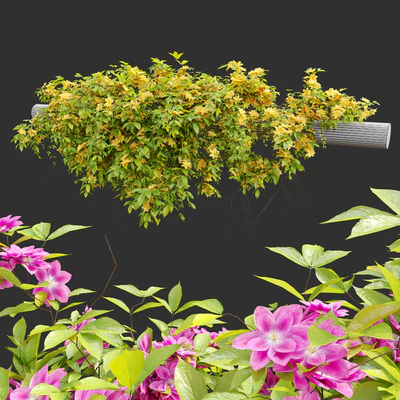 Hanging Plant 23 — Вид 2