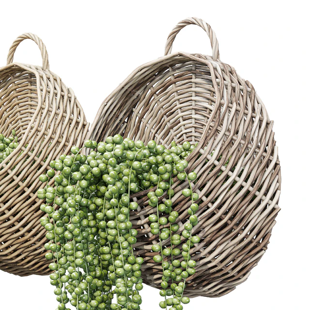 Wicker basket one — Скачать
