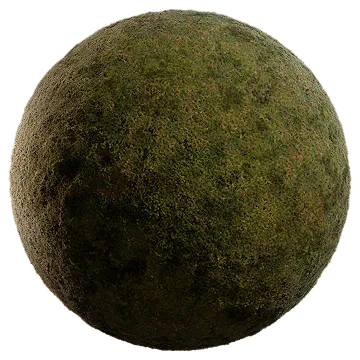 nordic moss 001 — Descargar