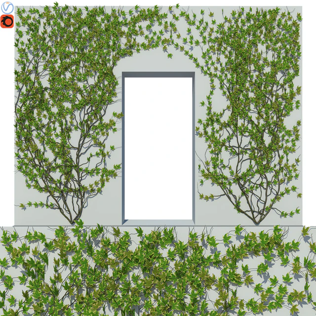 Ivy Wall 04 — Descargar