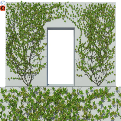 Ivy Wall 04 — Ver 1