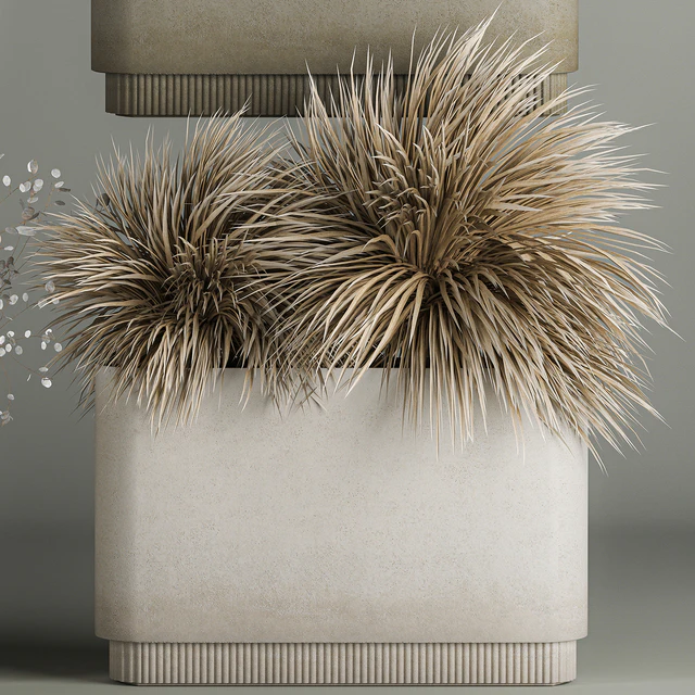 Collection of plant bouquets of dried flowers, moonflower, dry palm branches, dry grass, natural decor .1121. — Descargar