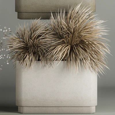 Collection of plant bouquets of dried flowers, moonflower, dry palm branches, dry grass, natural decor .1121. — Ver 4