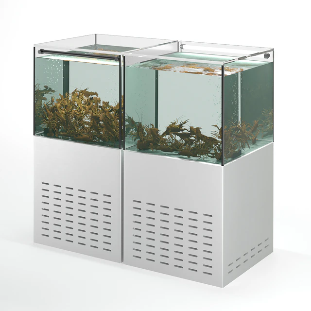 Crayfish aquarium — Descargar