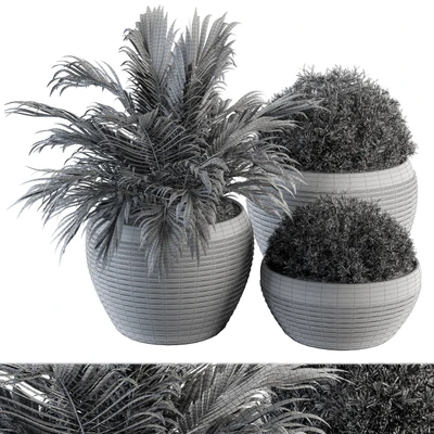 Outdoor Plants tree in Concrete Pot - Set 104 — Вид 3
