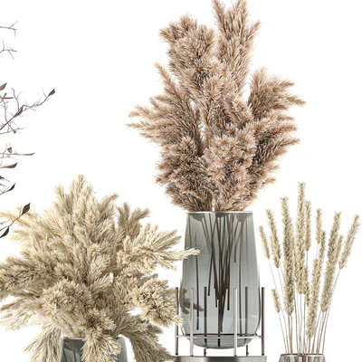 A collection of bouquets of dried flowers in glass vases with Pampas, branches, Cortaderia, pampas grass, reeds. Set 103. — Ver 3