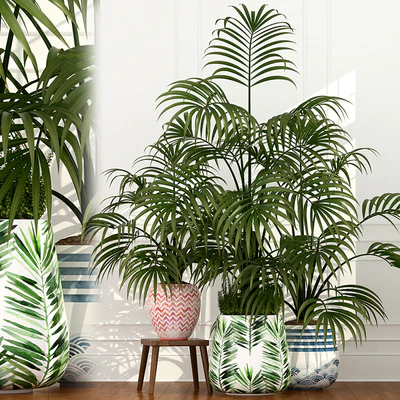 Plants collection 51 — Ver 1