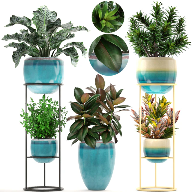 Collection of plants. Shelf with flowers, flower stand, pot, ficus, croton, alocasia, flowerpot, dracaena — Descargar