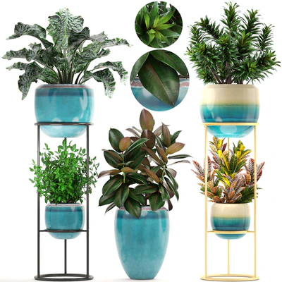 Collection of plants. Shelf with flowers, flower stand, pot, ficus, croton, alocasia, flowerpot, dracaena — Ver 1