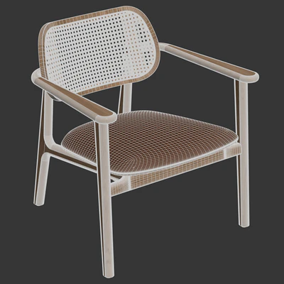 Vincent Sheppard - Titus lounge chair — Вид 3