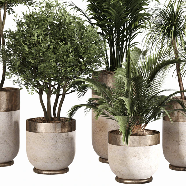 Indoor Plant Set 053 — Скачать