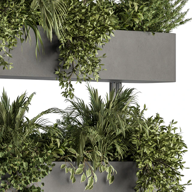 Indoor Plant Set 306 - Box Stand with Hanging Plants — Descargar