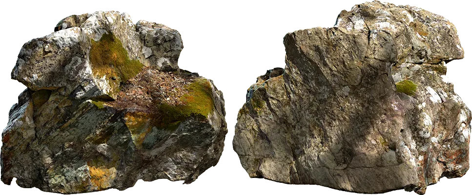 mossy boulder rock 001 — Скачать