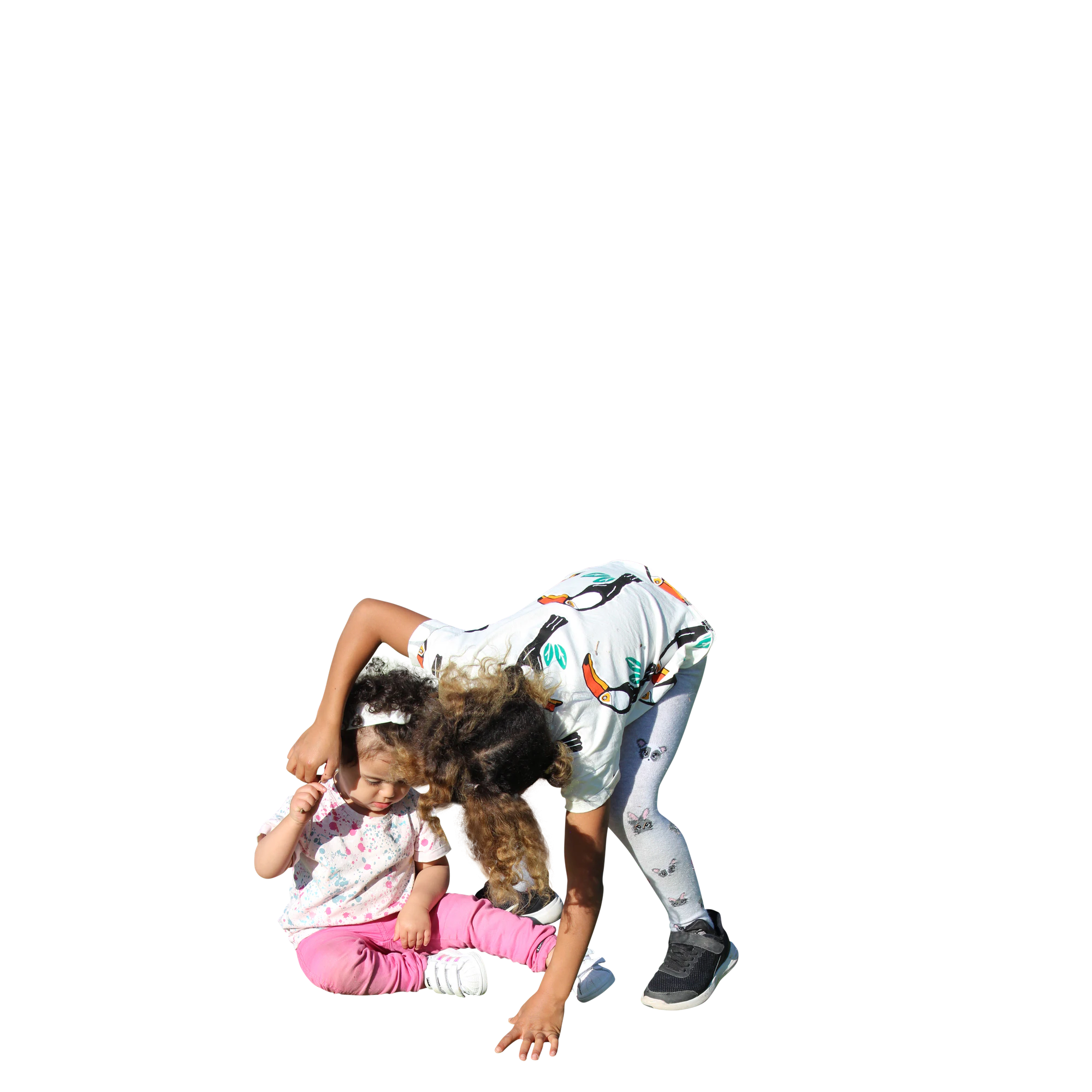 463 — Скачать