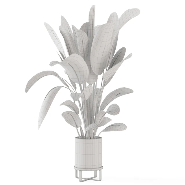 Indoor Plants in Ferm Living Bau Pot Large - Set 378 — Descargar